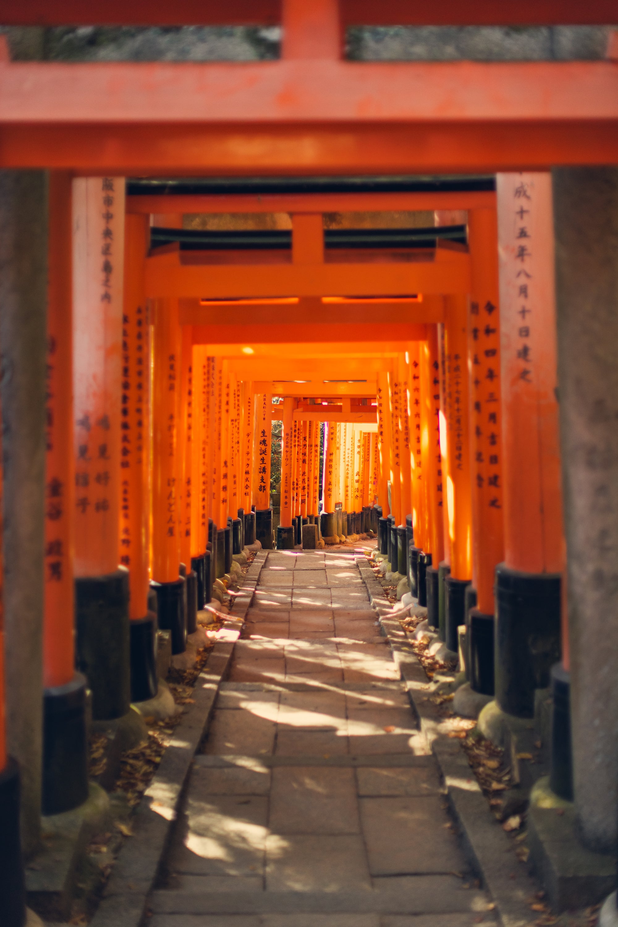 Above the Crowds, Kyoto