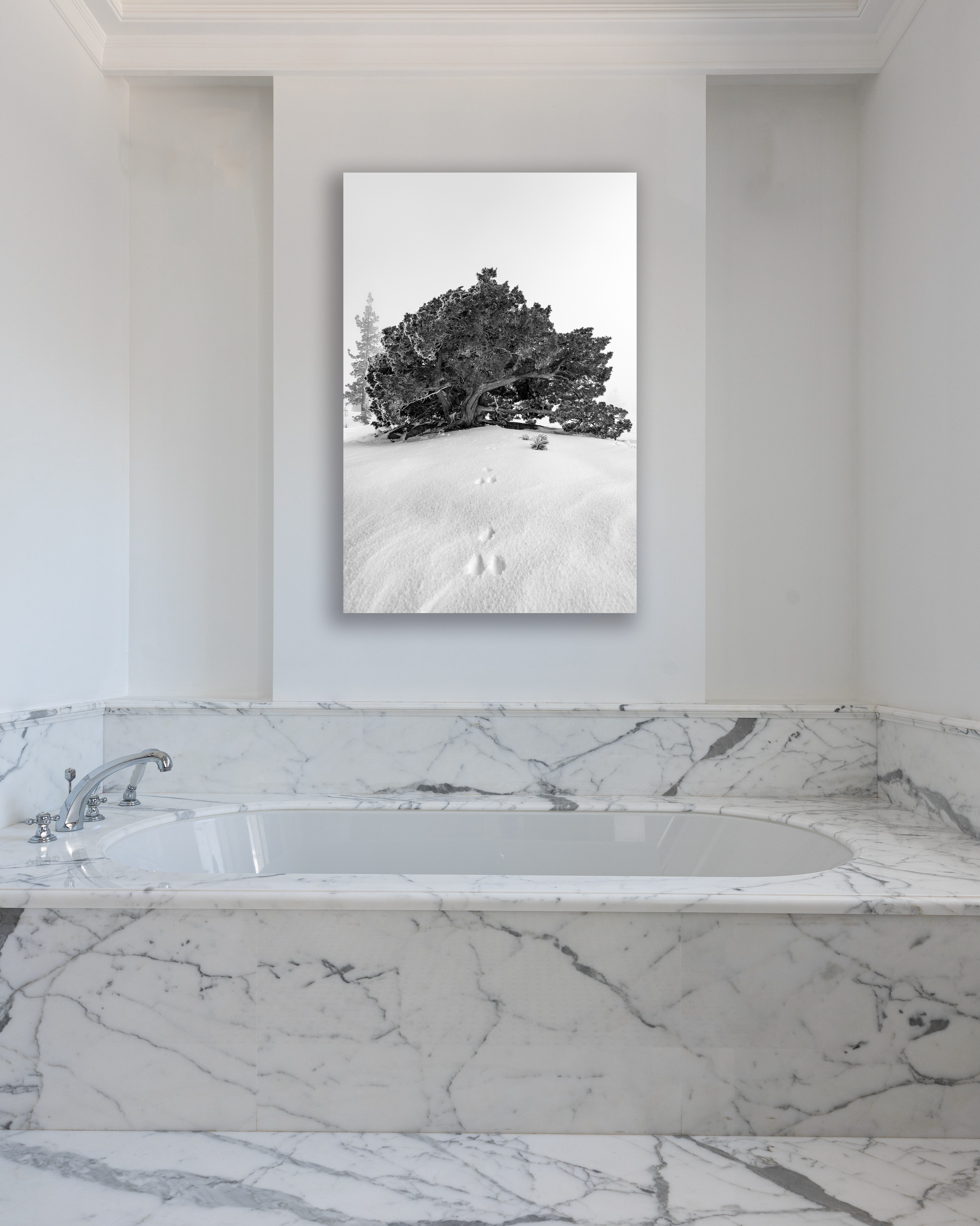 A black and white photograph of an old tree hangs on the wall above a marbled bathtub.