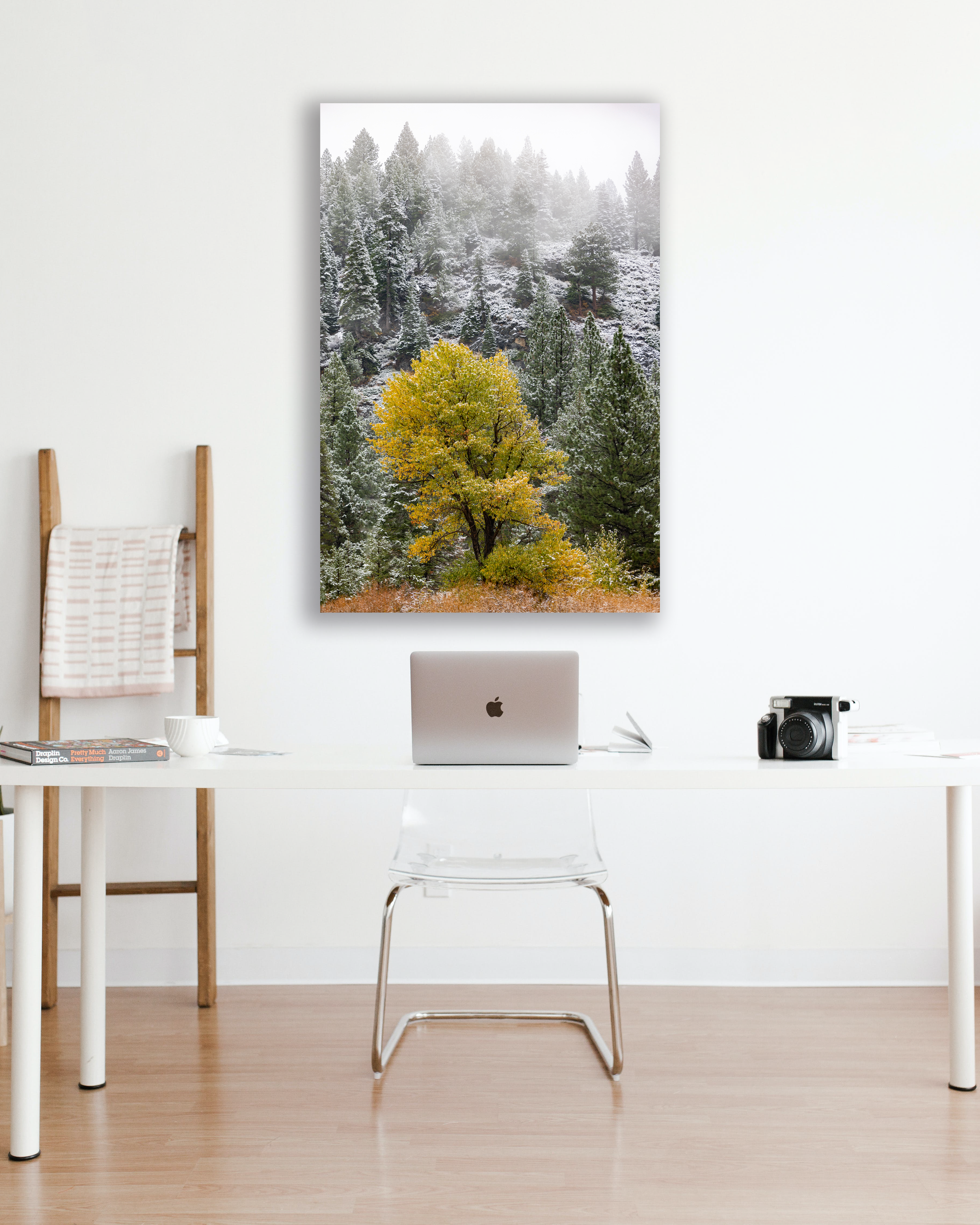 Between Fall and Snow