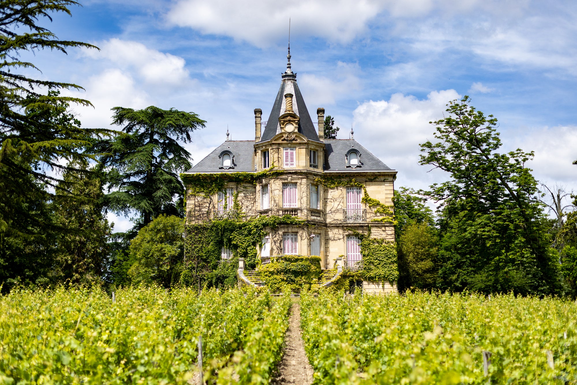 Château in the Vines