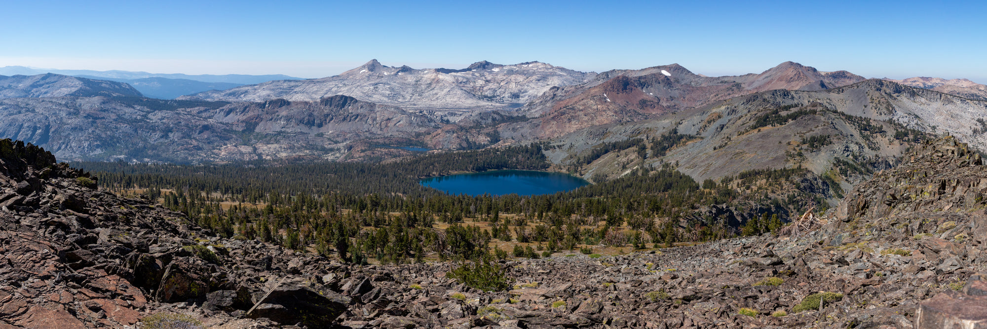 Desolation's Heartbeat