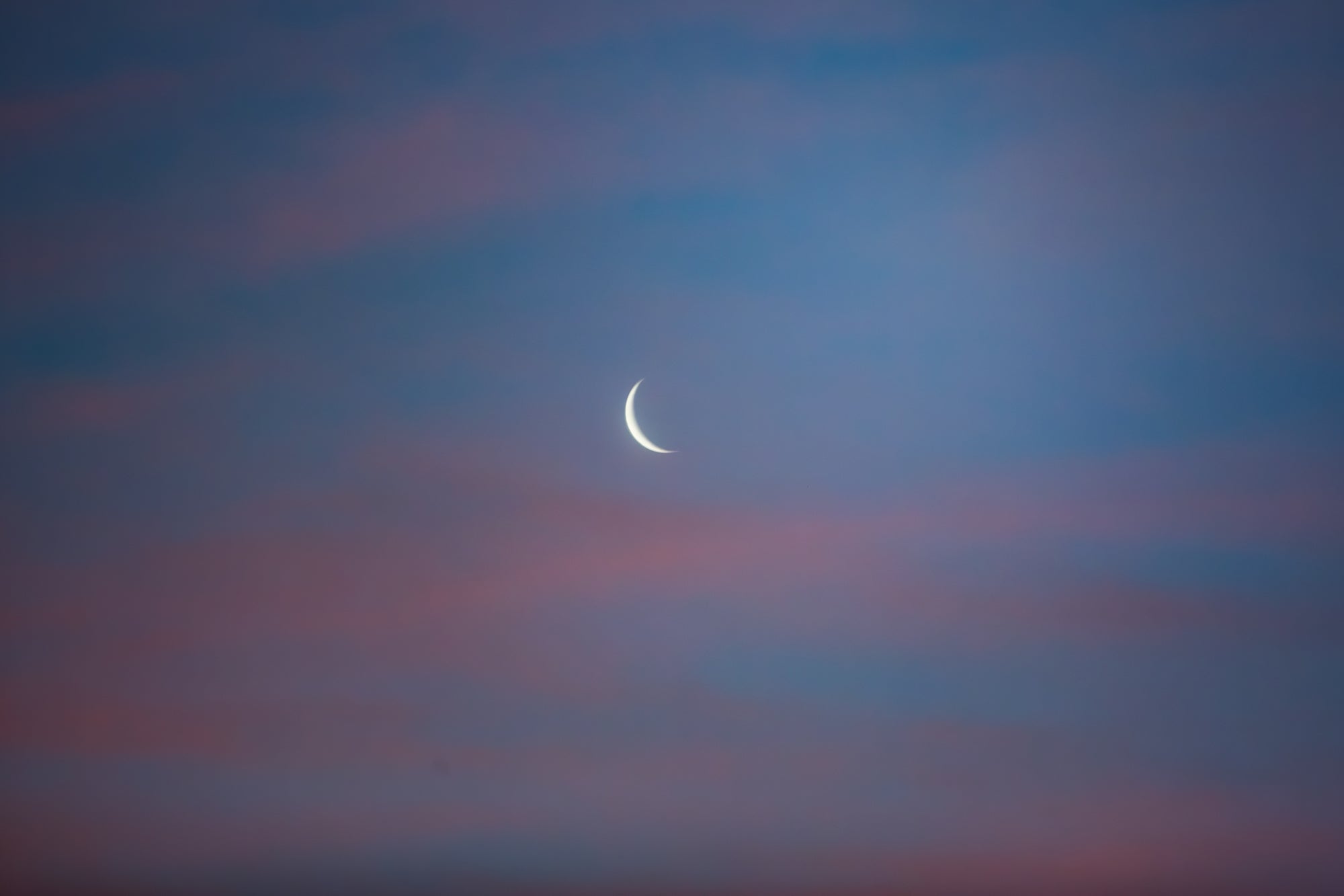 Dusk’s Crescent