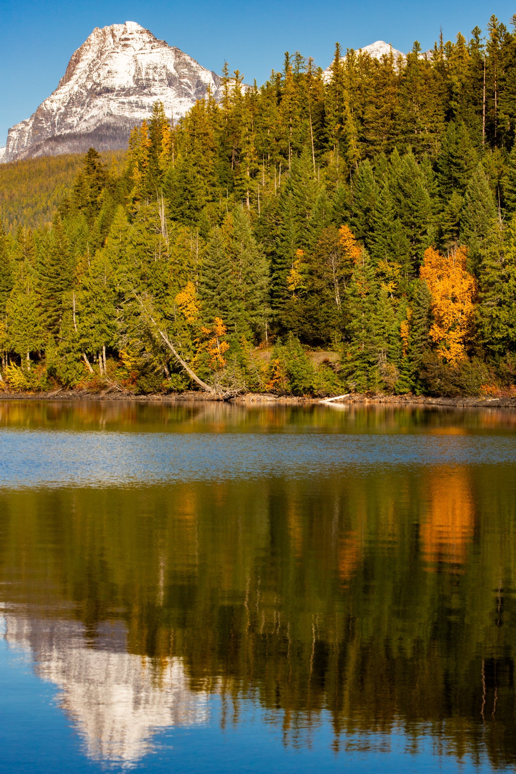 Reflections of Autumn