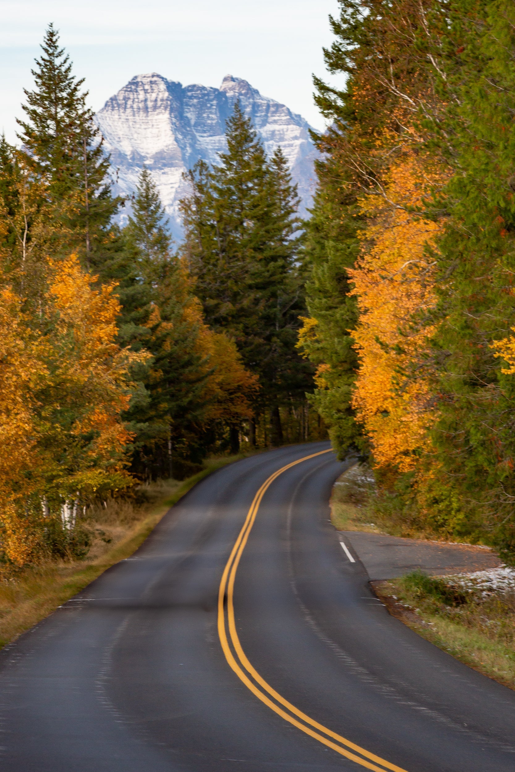 Autumn Pathway