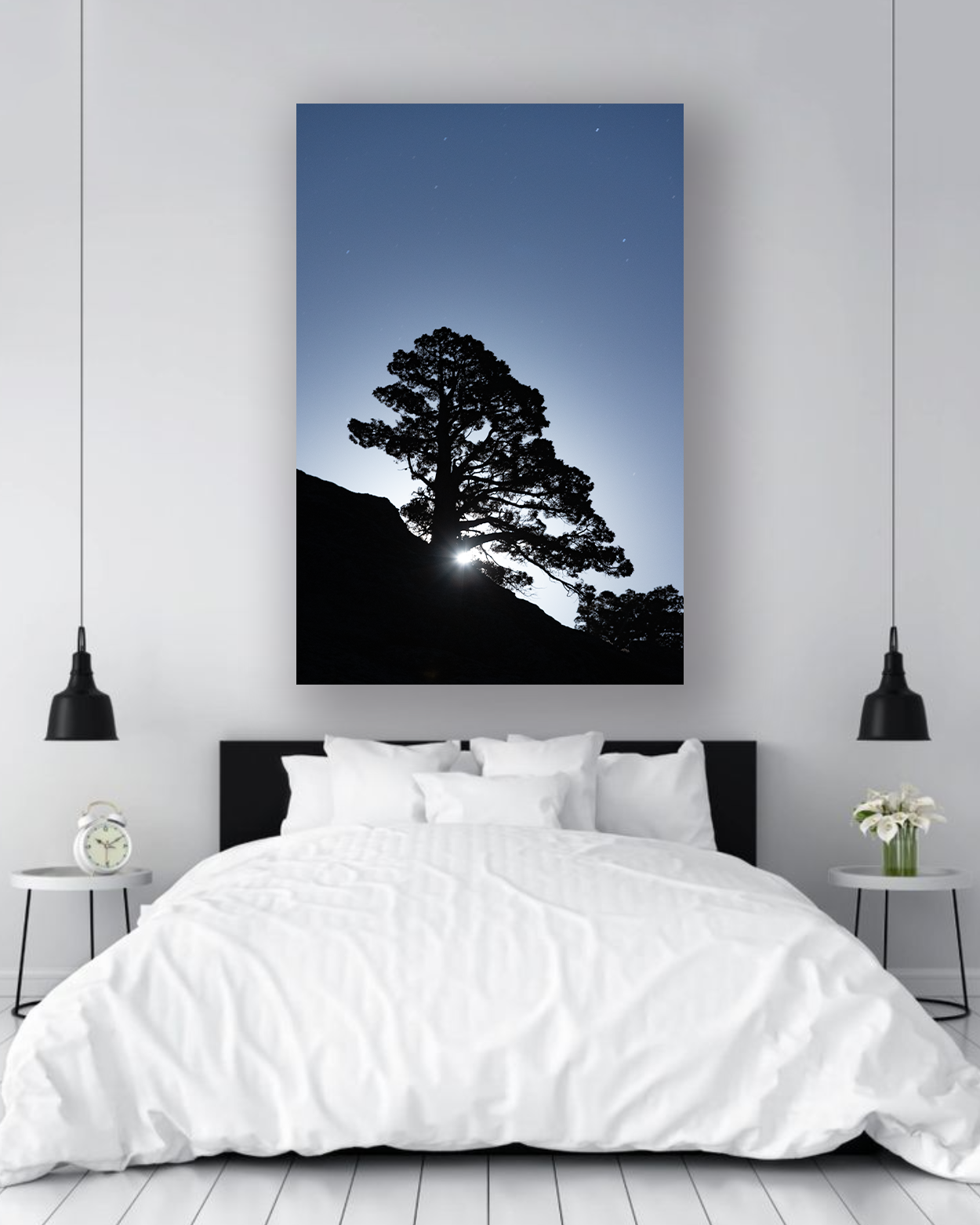 Moonrise Through the Pines