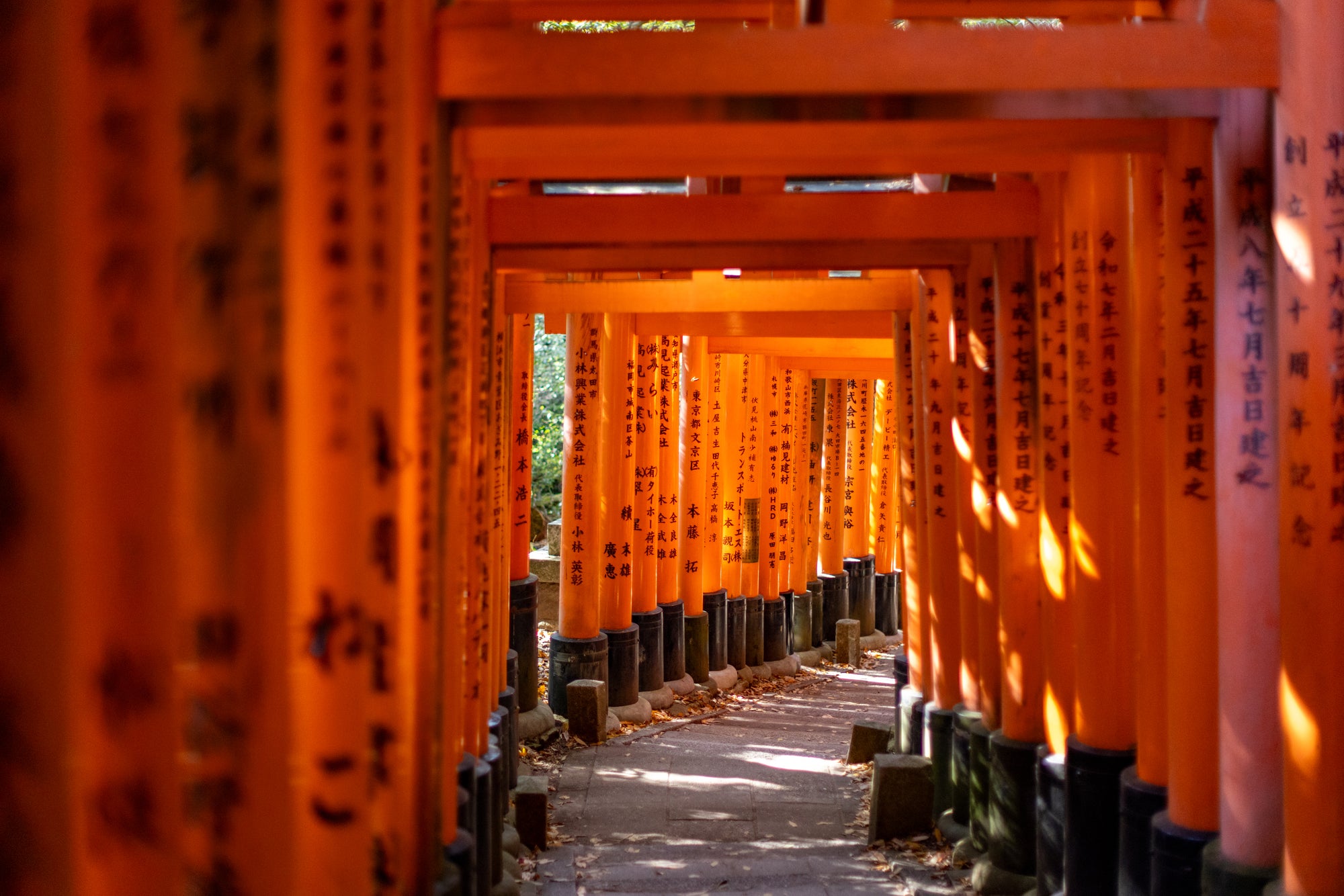 Through the Gates, Kyoto