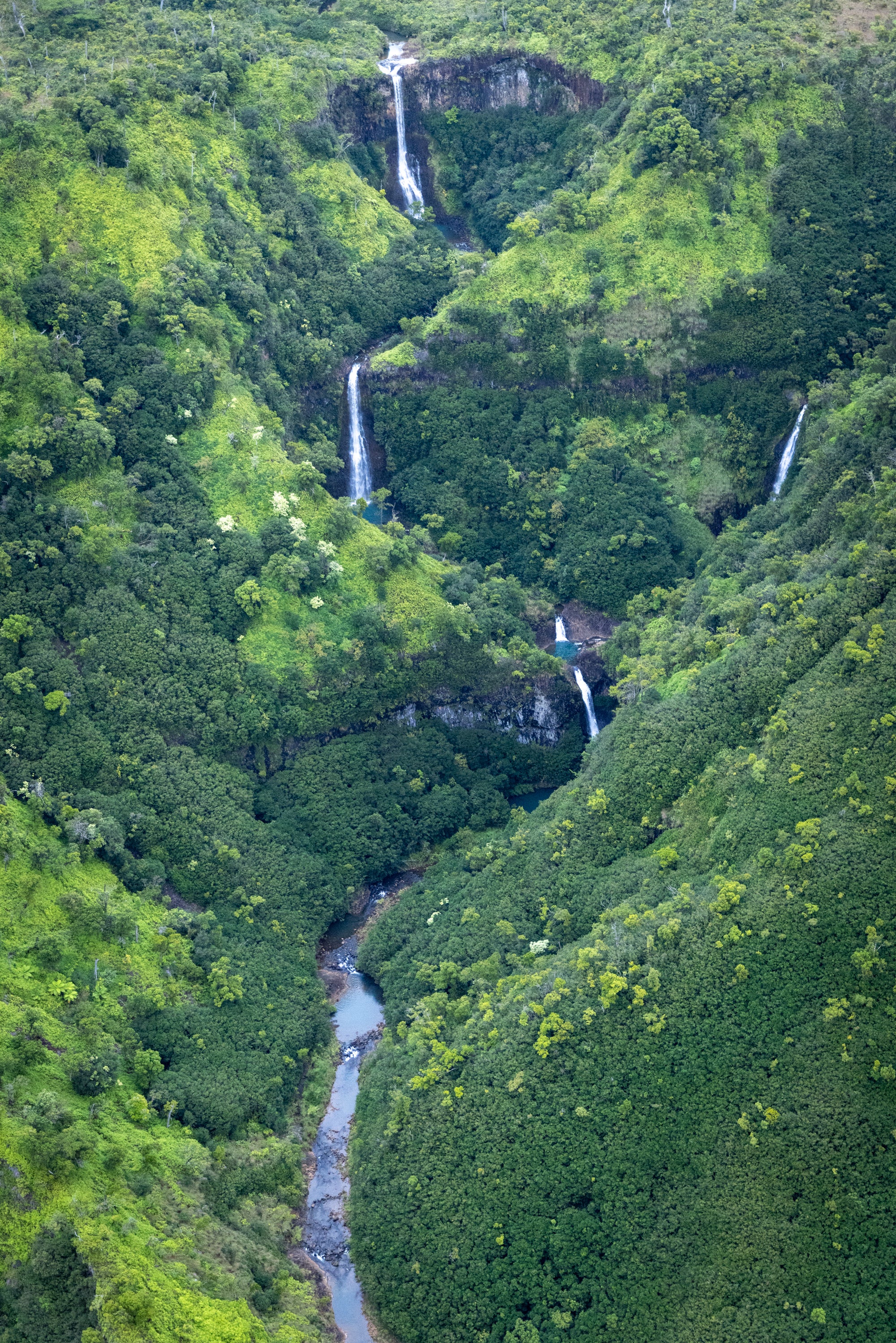 Veins of Kauai