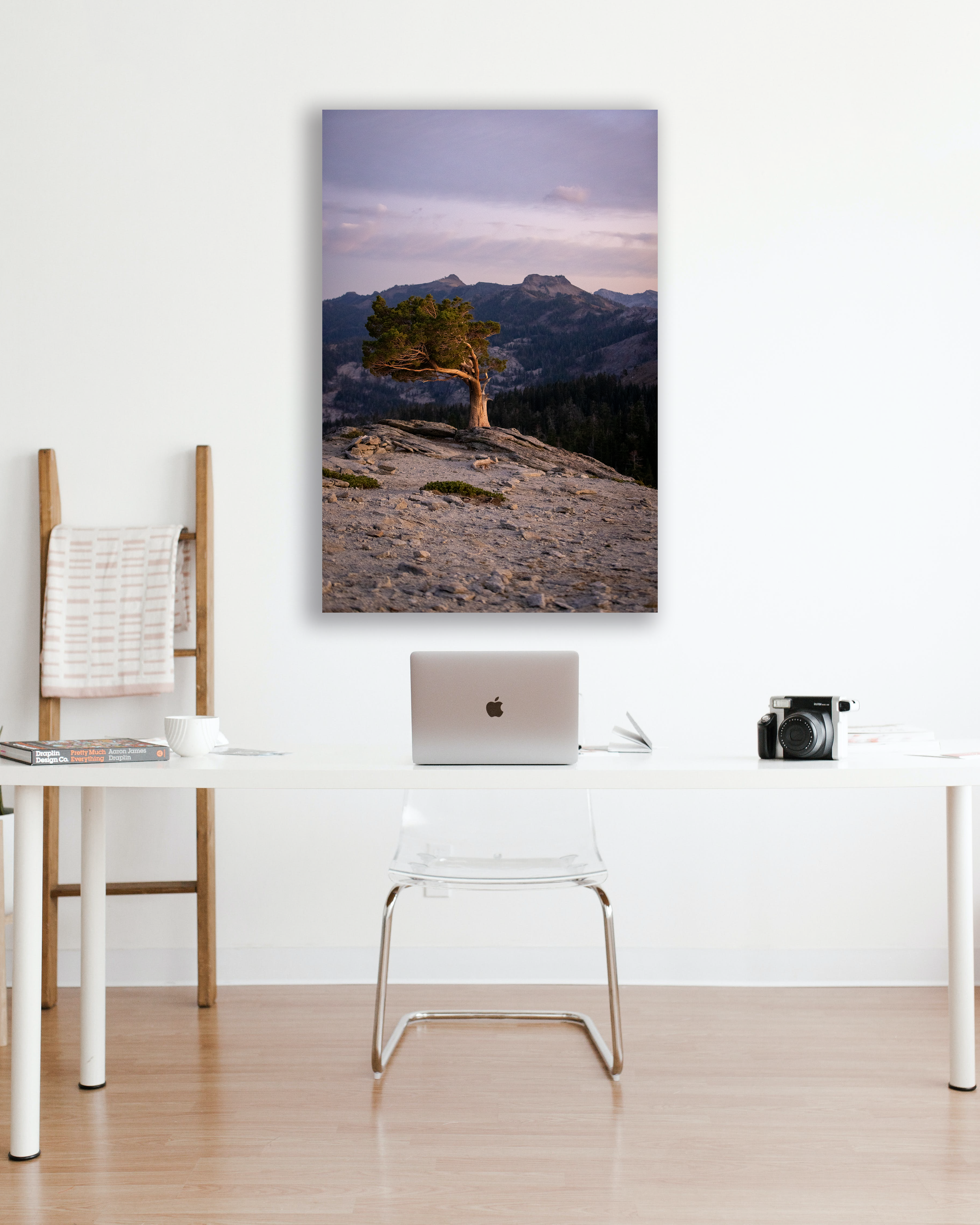 Weathered on the Crest — Evening Light