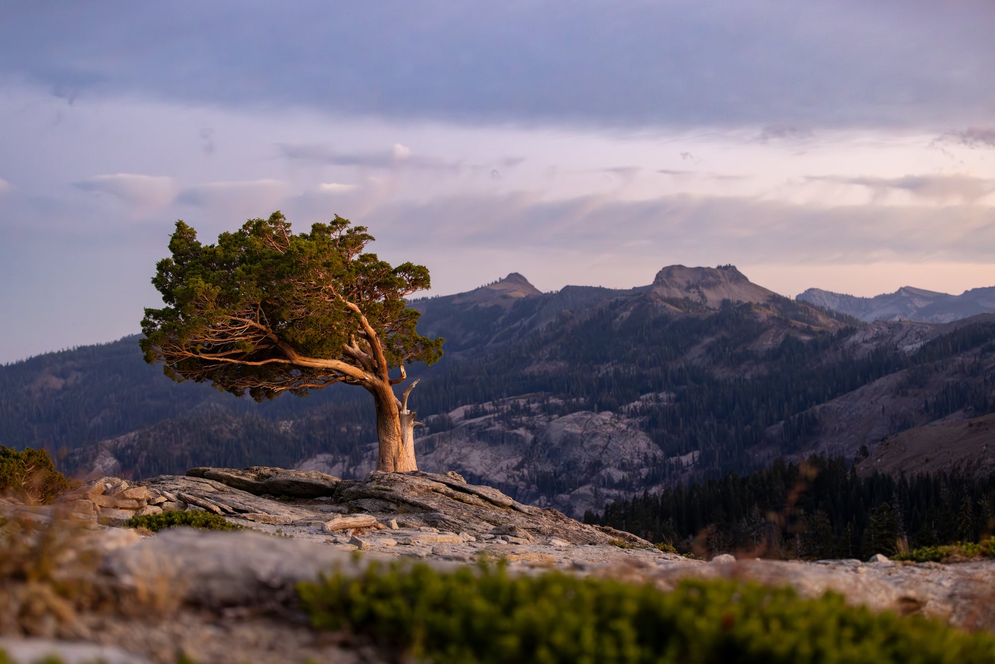 Weathered on the Crest — Last Light