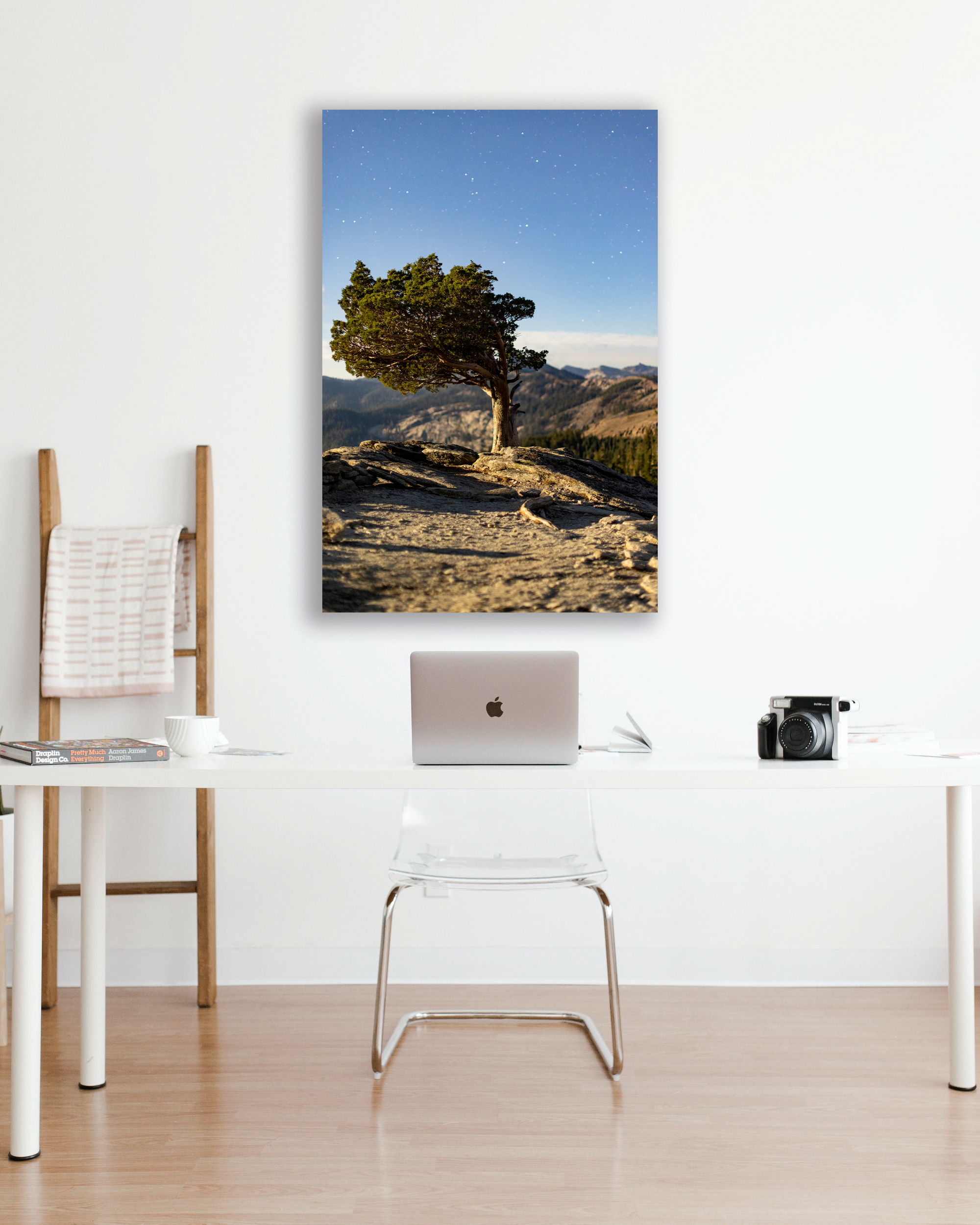 Weathered on the Crest — Moonlit Night