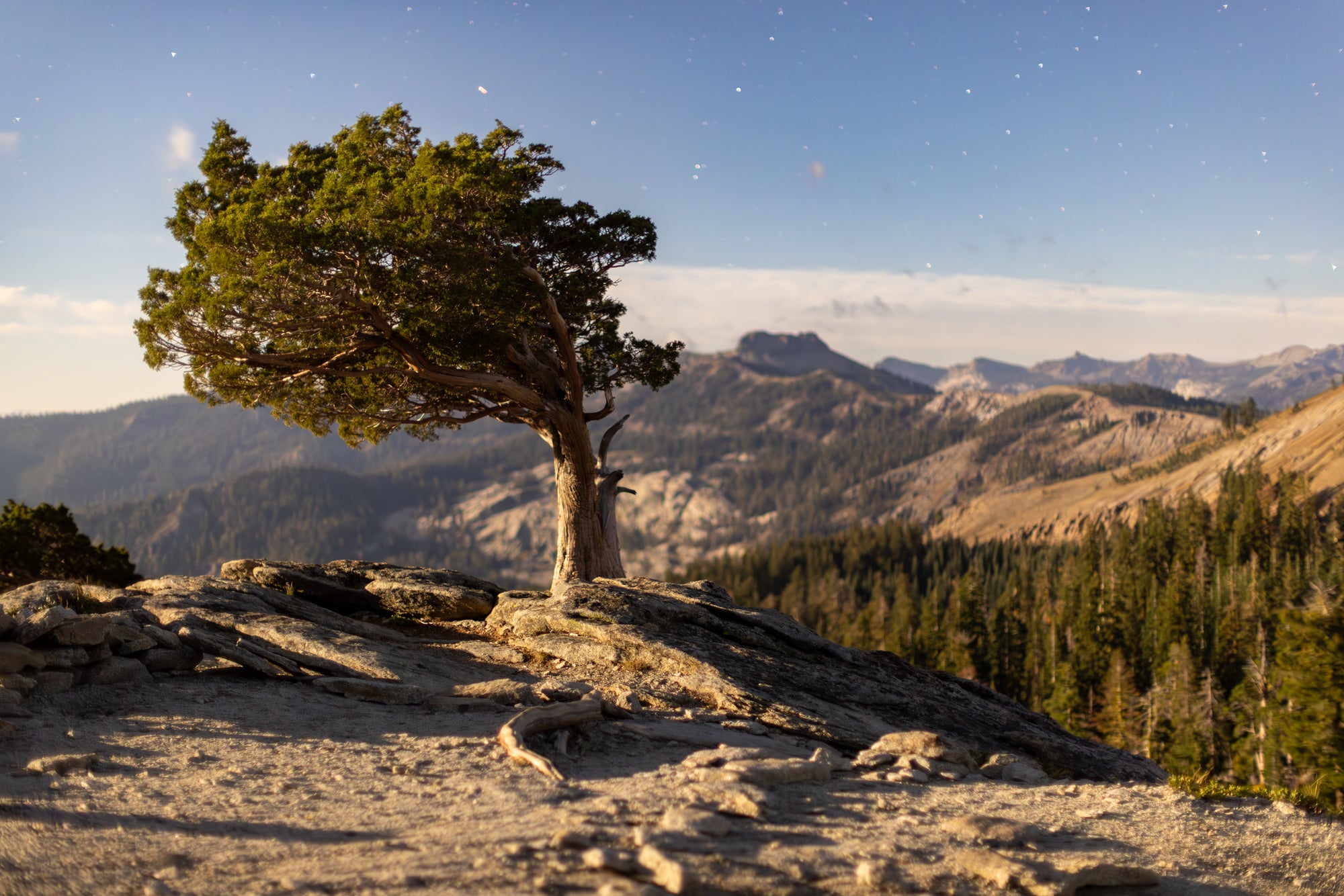 Weathered on the Crest — Under a Full Moon