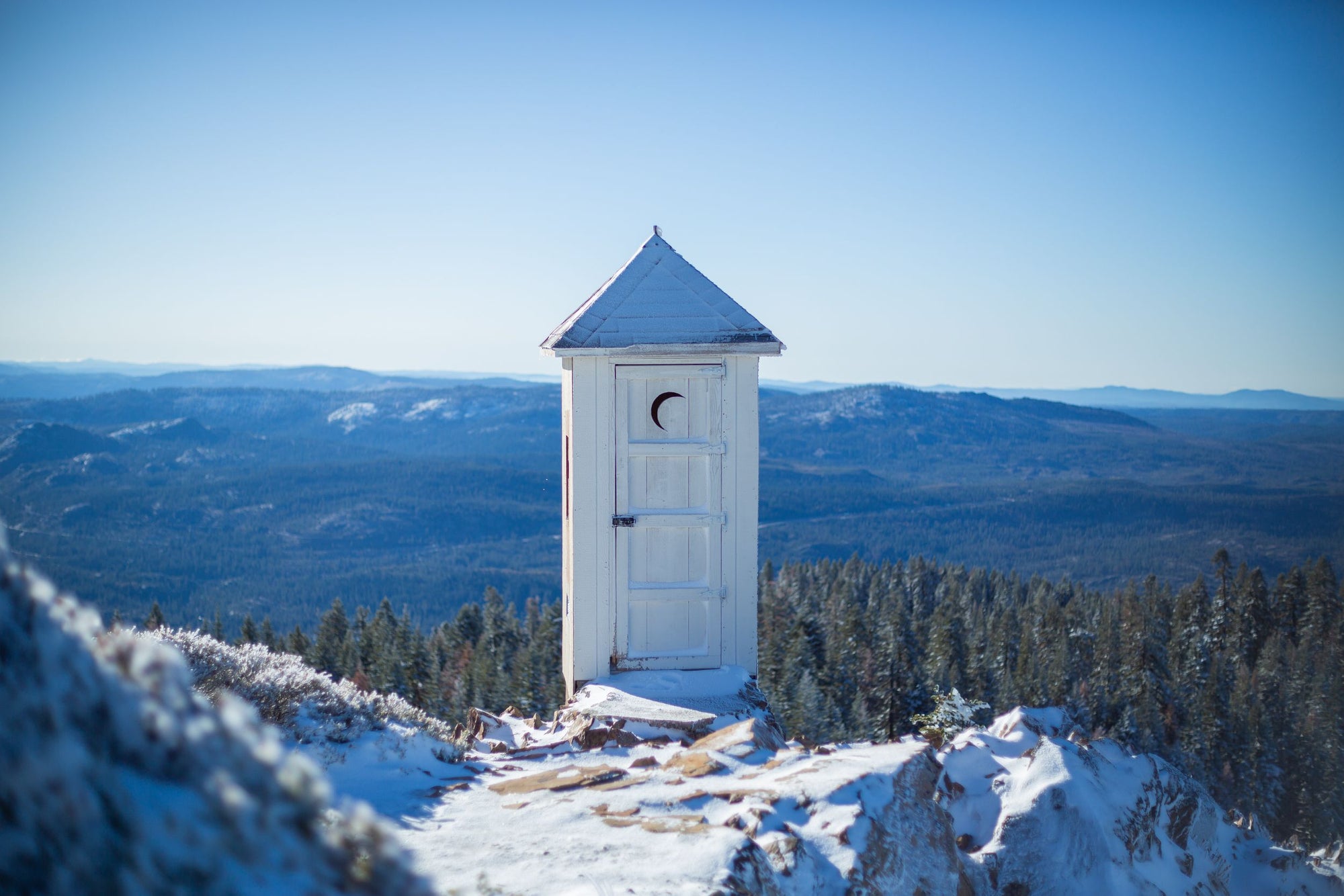 An outhouse sits high above the a pine tree landscape.