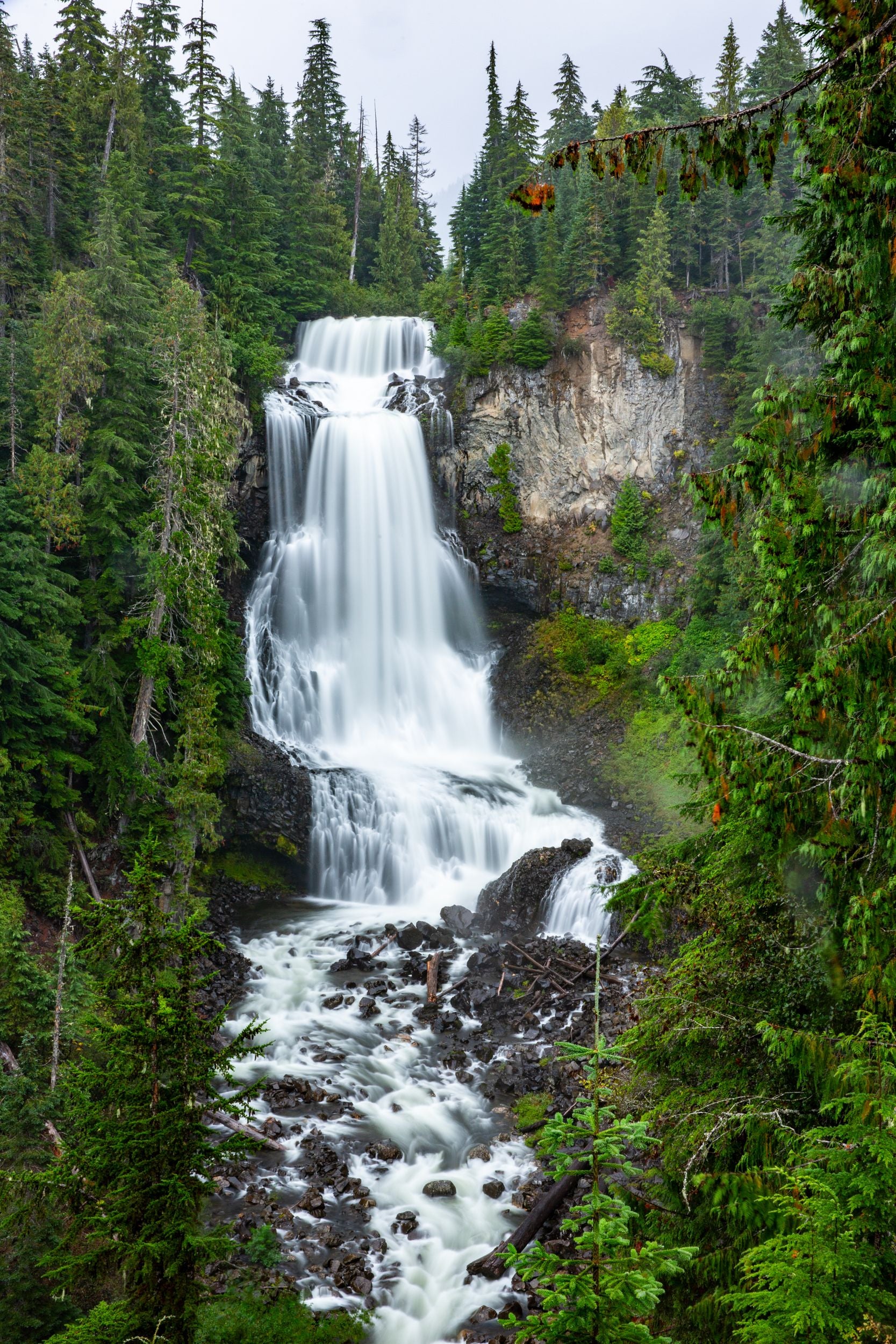 A waterfall surrounded by lush green pine trees.