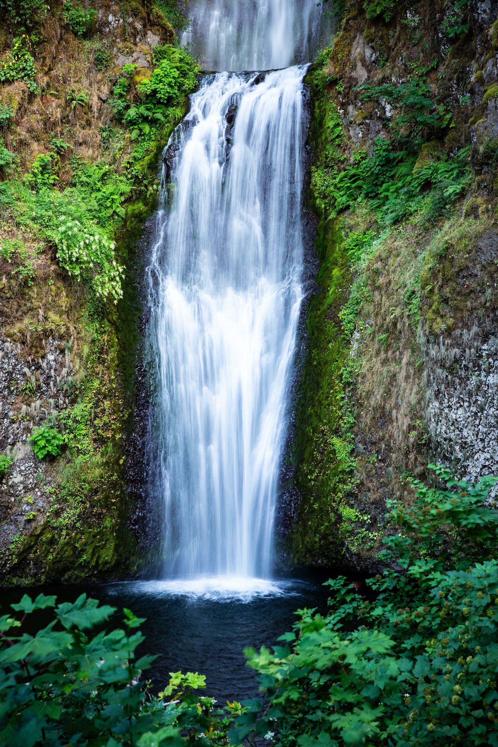 A waterfall surrounded by green foliage.