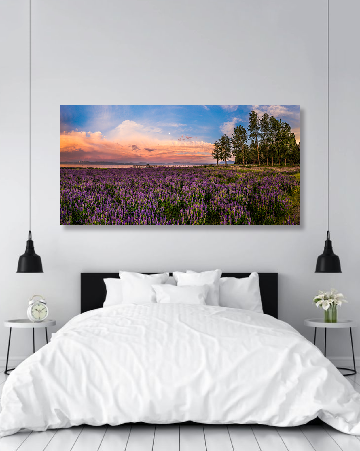 A large photograph of a lupin super bloom on the shores of Lake Tahoe.