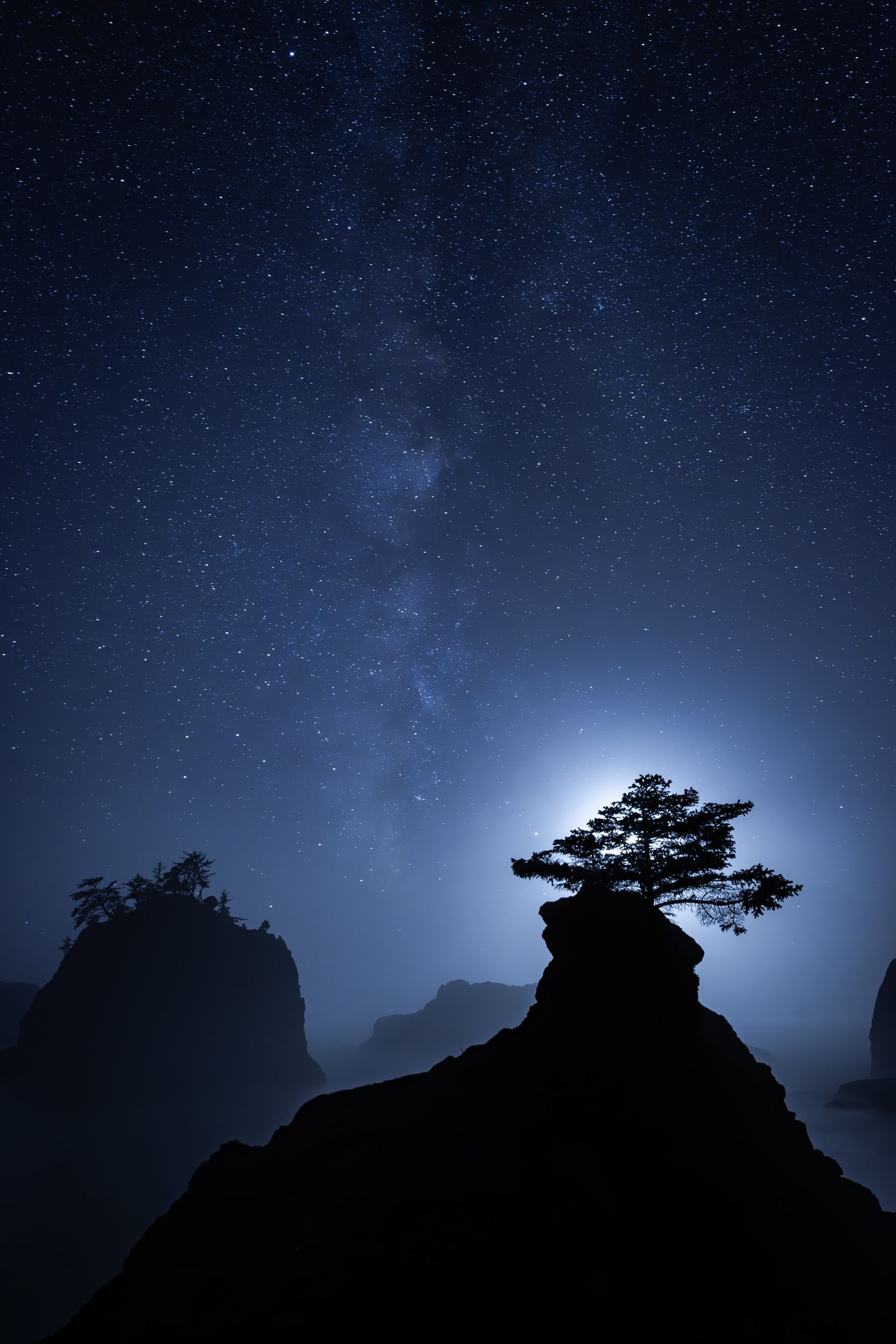 The Milky Way lights up the night sky and coastal trees are silhouettes along the shore.