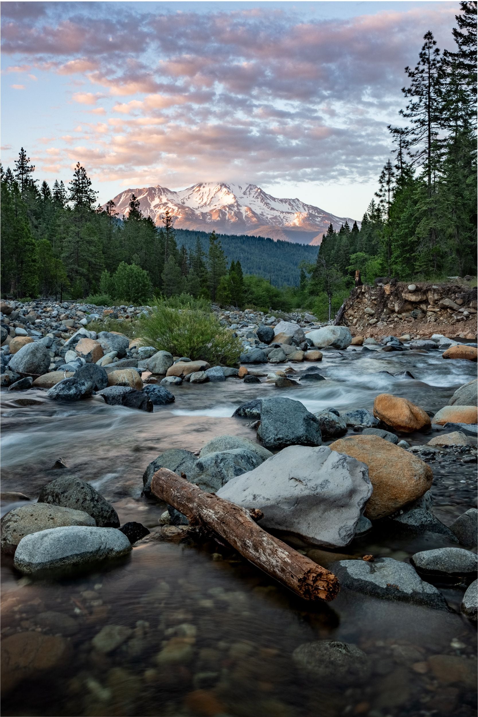 The peak of Mt. Shasta is hidden by pink clouds while a stream flows in the foreground.