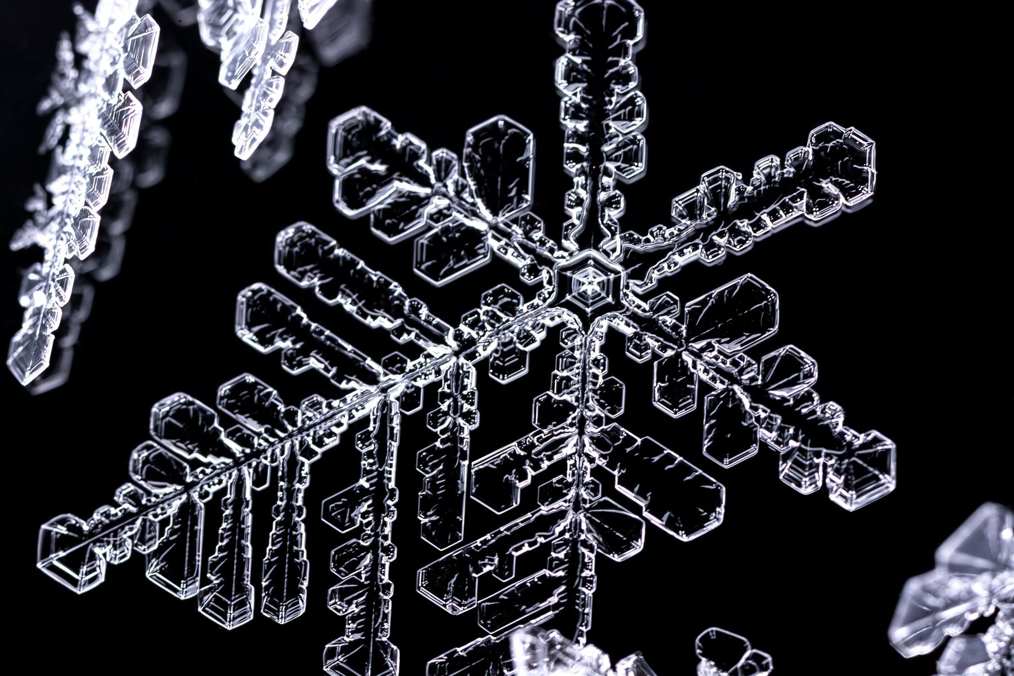 Crystal clear snowflakes captured under a microscopic lens against a black backdrop.