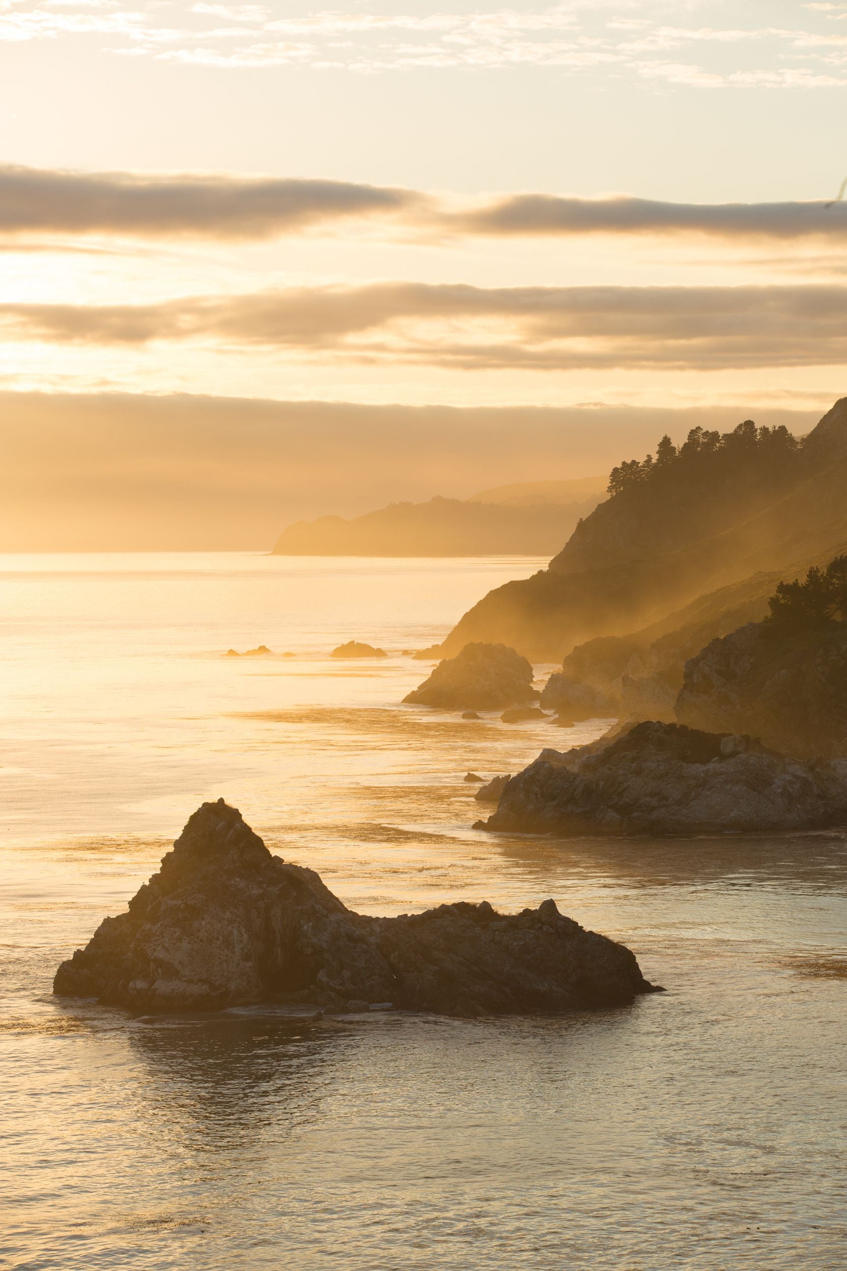 The sun casts a golden hue across the rocky shore of the Pacific ocean in Big Sur.