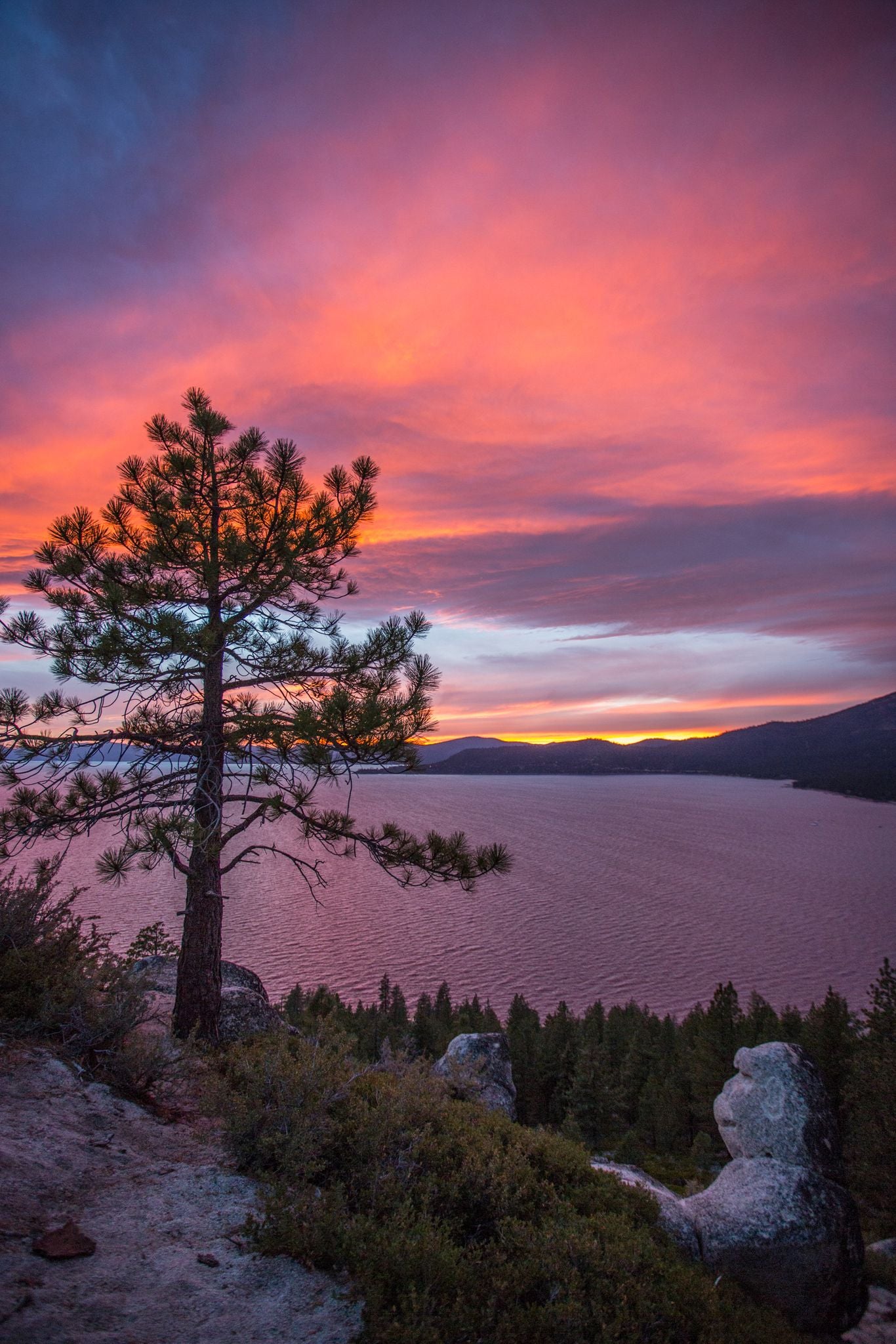 A pin tree stands on a rocky bank while the sun sets above Lake Tahoe.